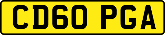 CD60PGA