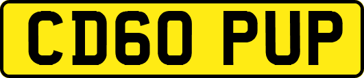 CD60PUP