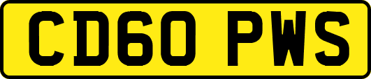 CD60PWS