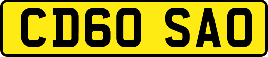 CD60SAO