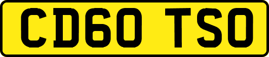 CD60TSO
