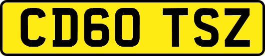 CD60TSZ