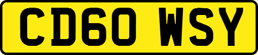 CD60WSY