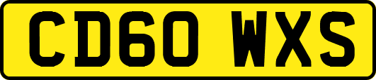 CD60WXS