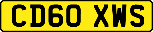 CD60XWS