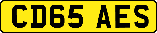CD65AES