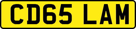 CD65LAM
