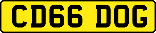 CD66DOG