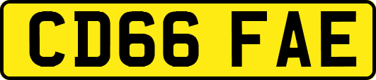CD66FAE