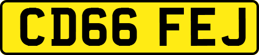 CD66FEJ