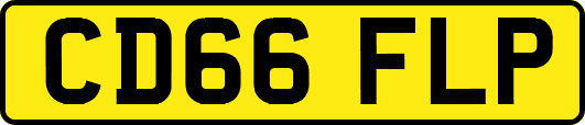 CD66FLP