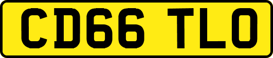 CD66TLO