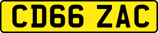 CD66ZAC