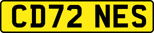 CD72NES