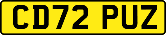 CD72PUZ