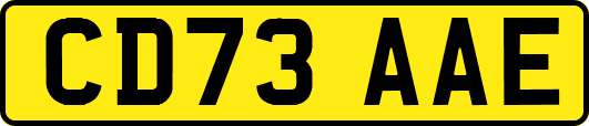 CD73AAE