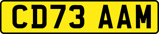 CD73AAM