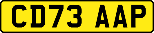 CD73AAP