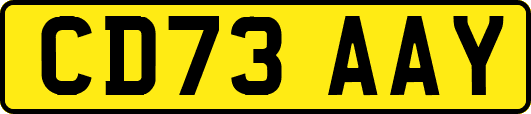 CD73AAY