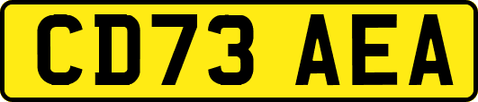 CD73AEA