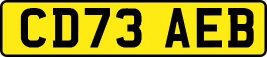CD73AEB