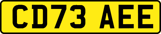 CD73AEE