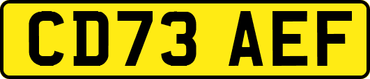 CD73AEF
