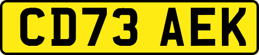 CD73AEK