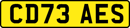 CD73AES
