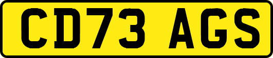 CD73AGS