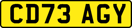 CD73AGY