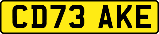 CD73AKE