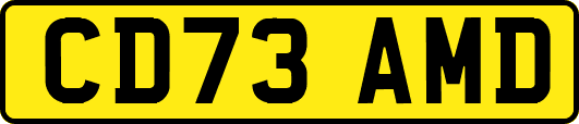 CD73AMD
