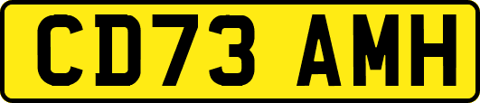 CD73AMH