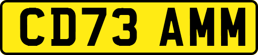 CD73AMM