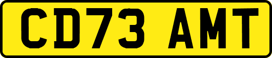 CD73AMT