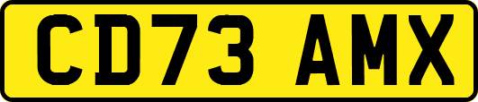 CD73AMX