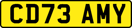 CD73AMY