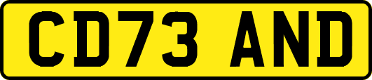 CD73AND