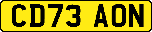 CD73AON