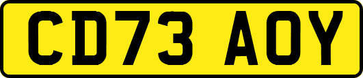 CD73AOY