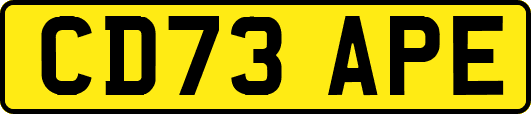 CD73APE
