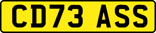 CD73ASS