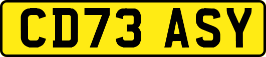 CD73ASY