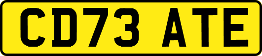 CD73ATE