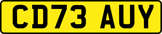 CD73AUY