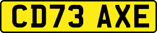 CD73AXE