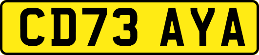 CD73AYA