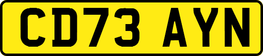 CD73AYN