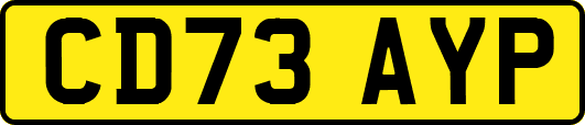 CD73AYP